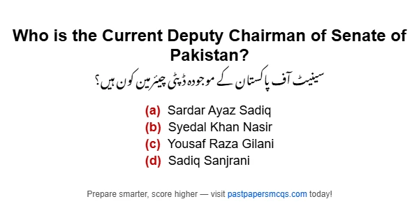 Who is the Current Deputy Chairman of Senate of Pakistan?