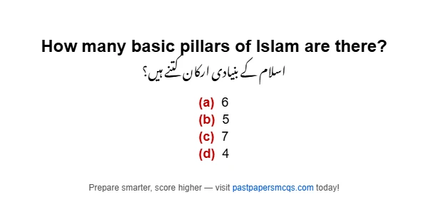 How many basic pillars of Islam are there?