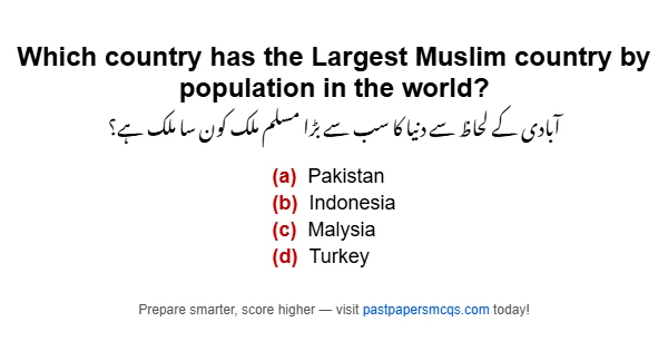 Which country has the Largest Muslim country by population in the world?