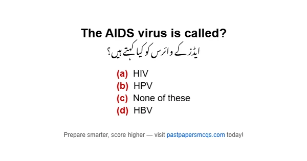 The AIDS virus is called?