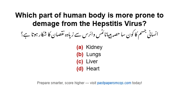 Which part of human body is more prone to demage from the Hepstitis Virus?