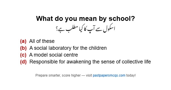 What do you mean by school?